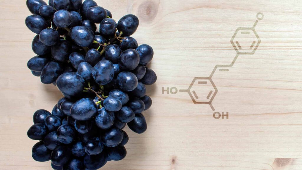 The Varied Health Benefits of Resveratrol | Wonderfeel