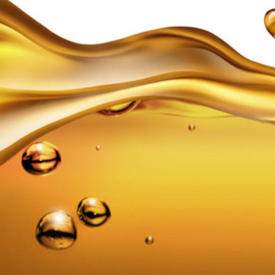 Hydroxytyrosol from olive oil, an antioxidant found in Youngr™ NMN