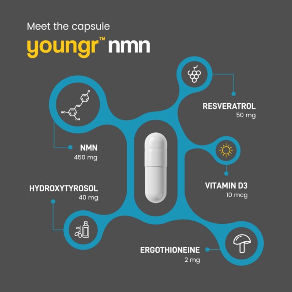 Youngr NMN ingredient infographic