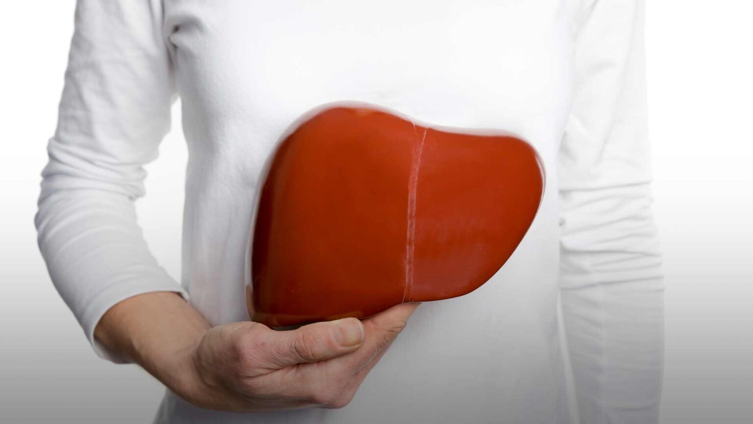 A man holding a healthly liver, one of the benefits of NMN