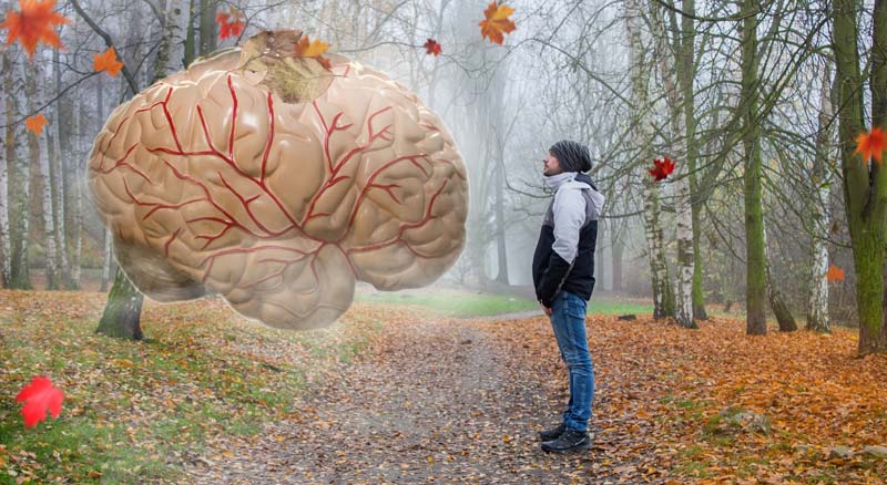 Hombre en el bosque imaginando una mente más aguda con NMN.