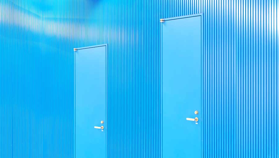 Vista en perspectiva de dos puertas de acero azules que representan al NMN y al NR