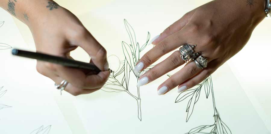 Hands drawing olive plant and hydroxytyrosol benefits over a light box