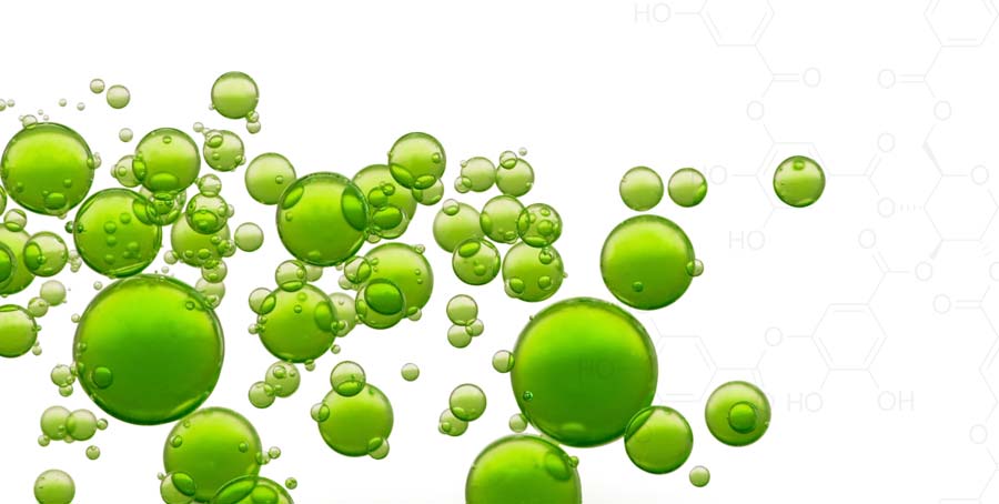 Hidroxitirosol como burbujas de aceite verde que representan su estructura y beneficios.