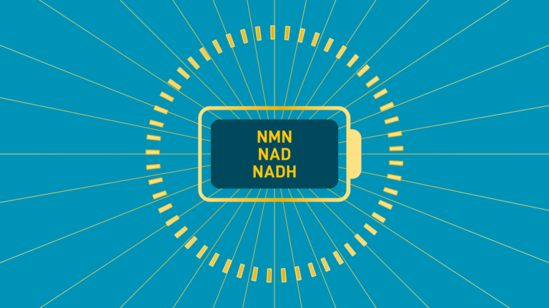 Illustration of NMN, NAD, and NADH connected in a circular energy pattern representing the cellular energy cycle.