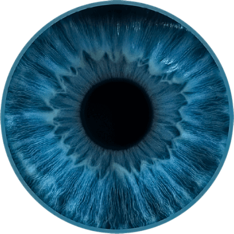A detailed, close-up circular illustration of a bright blue human iris and pupil with intricate fibrous textures on a white background
