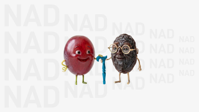 A whimsical illustration featuring a vibrant, smooth red grape standing next to a wrinkled, elderly raisin with glasses and a cane. In the background, the text "NAD" fades from large and bold behind the grape to small and faint behind the raisin, symbolizing the decline of NAD levels during aging.